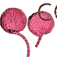 �and-made